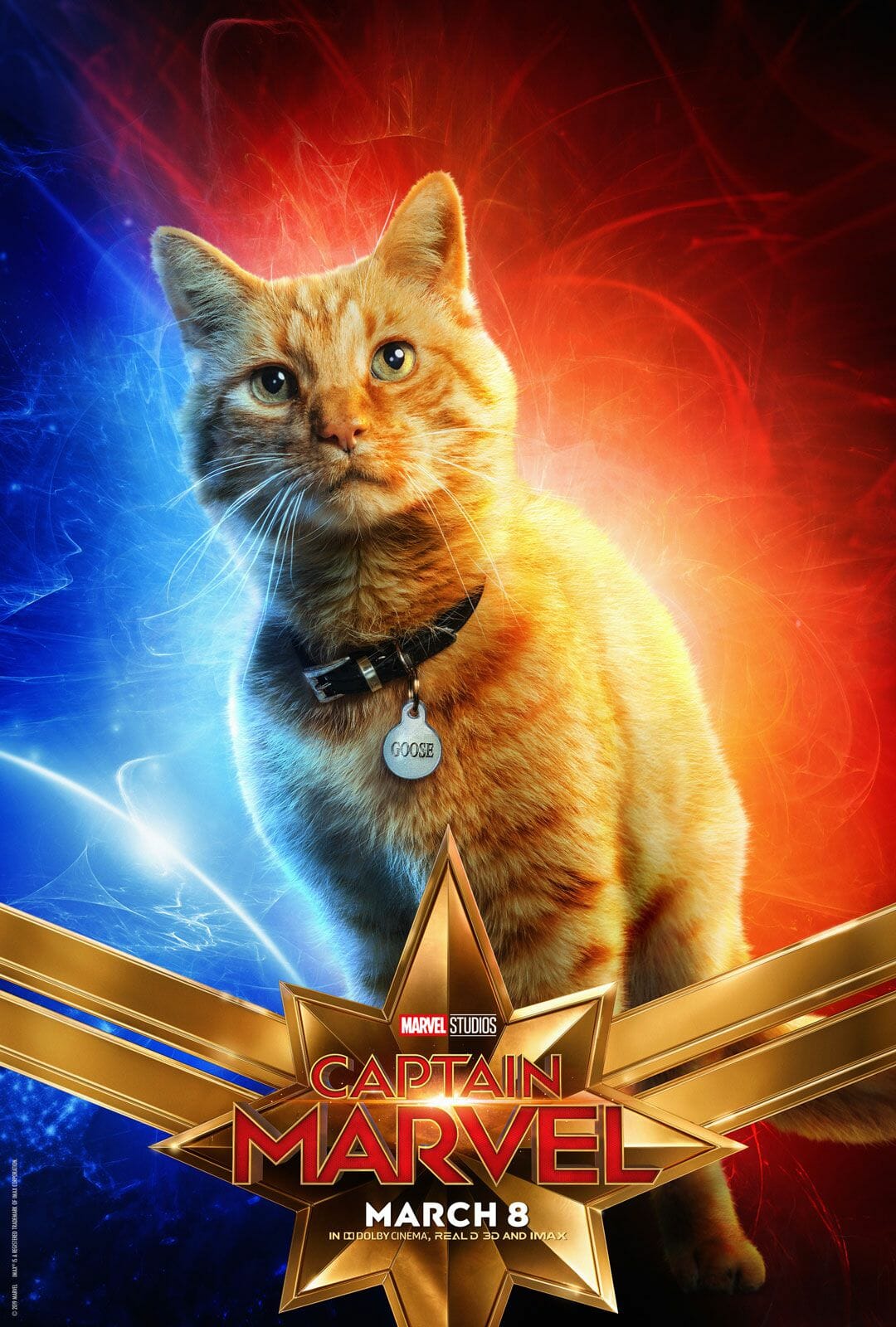 captain-marvel-cat-poster.jpg